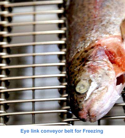 Eye link conveyor belt for Freezing 