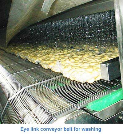 Eye link conveyor belt for washing