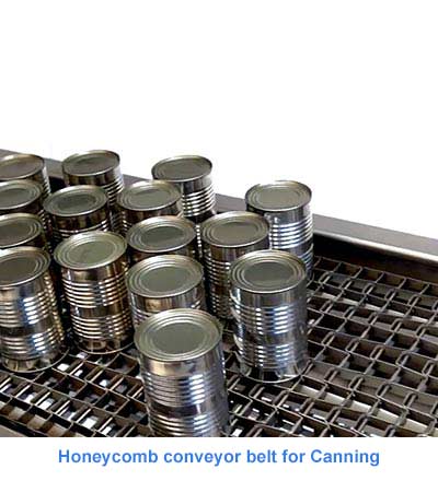Honeycomb conveyor belt for Canning