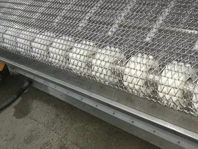 Sprocket for Balanced Spiral Weave Conveyor Belts