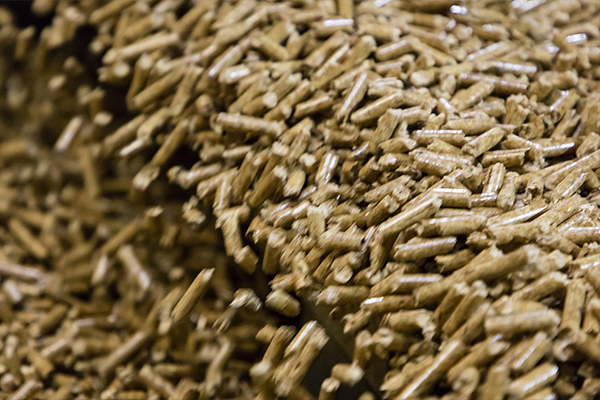  Wood Pellet