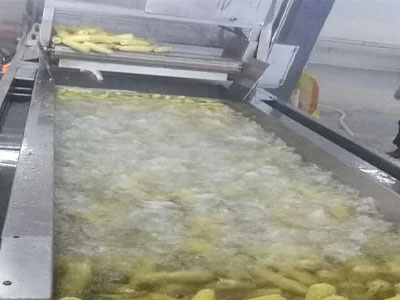 Application of stainless steel wire mesh belts in the prepared vegetable industry