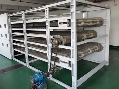 Application of stainless steel wire mesh belts in the prepared vegetable industry