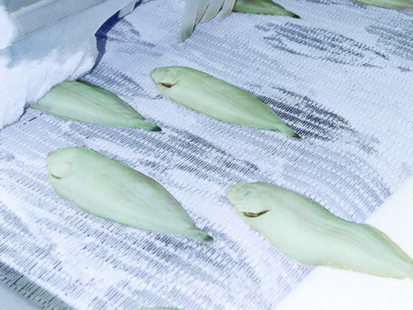 Woven Rod Bar Conveyor Belts for Fish Freezing