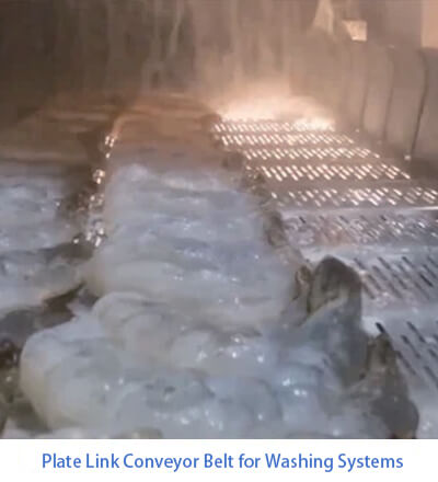 Plate Link Conveyor Belt for Washing Systems