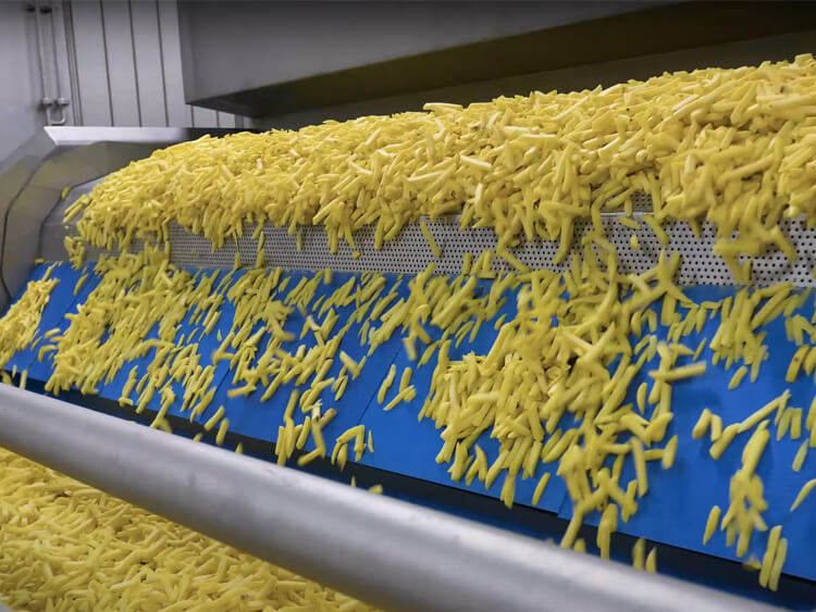 Perforated plate link conveyor belt for french fries production line drying section