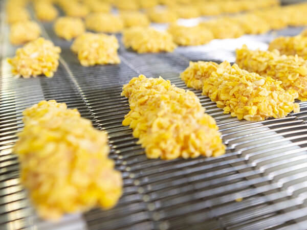Flat Flex Conveyor Belts for Dry Breading Layer