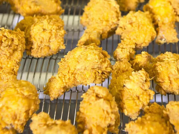 Flat Flex Conveyor Belts for Frying