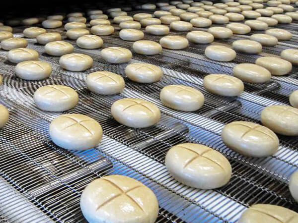 Flat Flex Conveyor Belts for Food Products