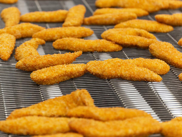 Flat Flex Conveyor Belts for Frying