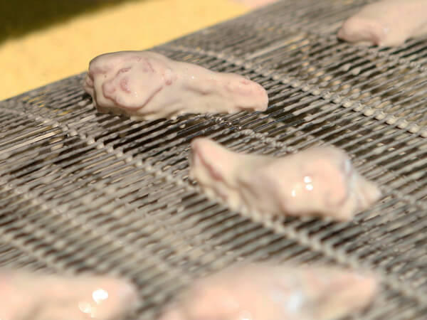 Flat Flex Conveyor Belts for Tempura Batter